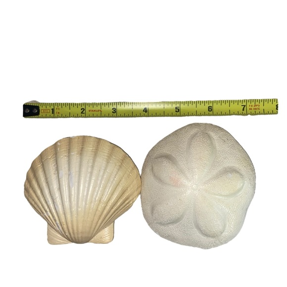 Sea Shell & Sea Biscuit Wall Decor - Picture 11 of 11